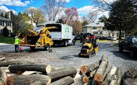 Best Commercial Tree Services  in Stone Ridge, NY