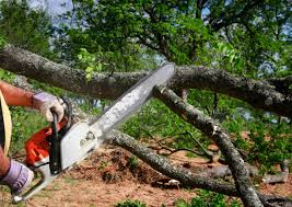 Best Lawn Maintenance Plans  in Stone Ridge, NY